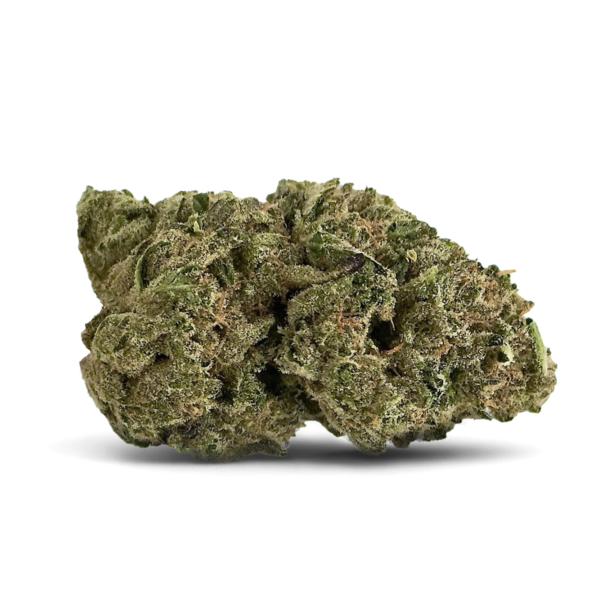 Beach Wedding Flower – Hybrid – THCA