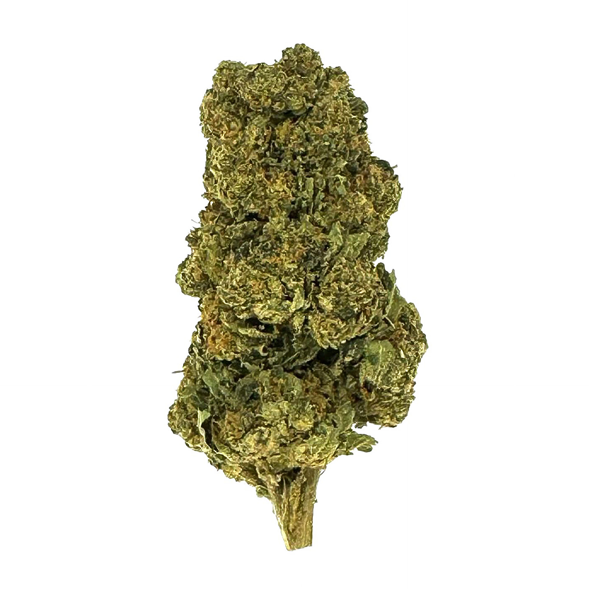 Black Cherry Gelato Flower – Indica – THCA