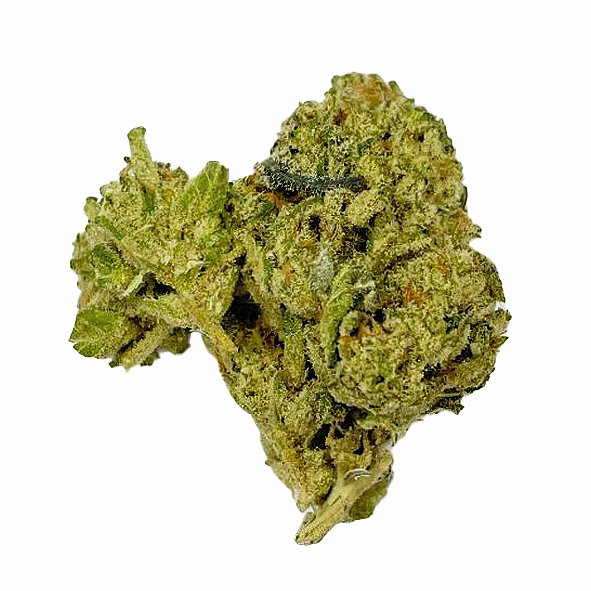 Cereal Milk Flower – Hybrid – THCA