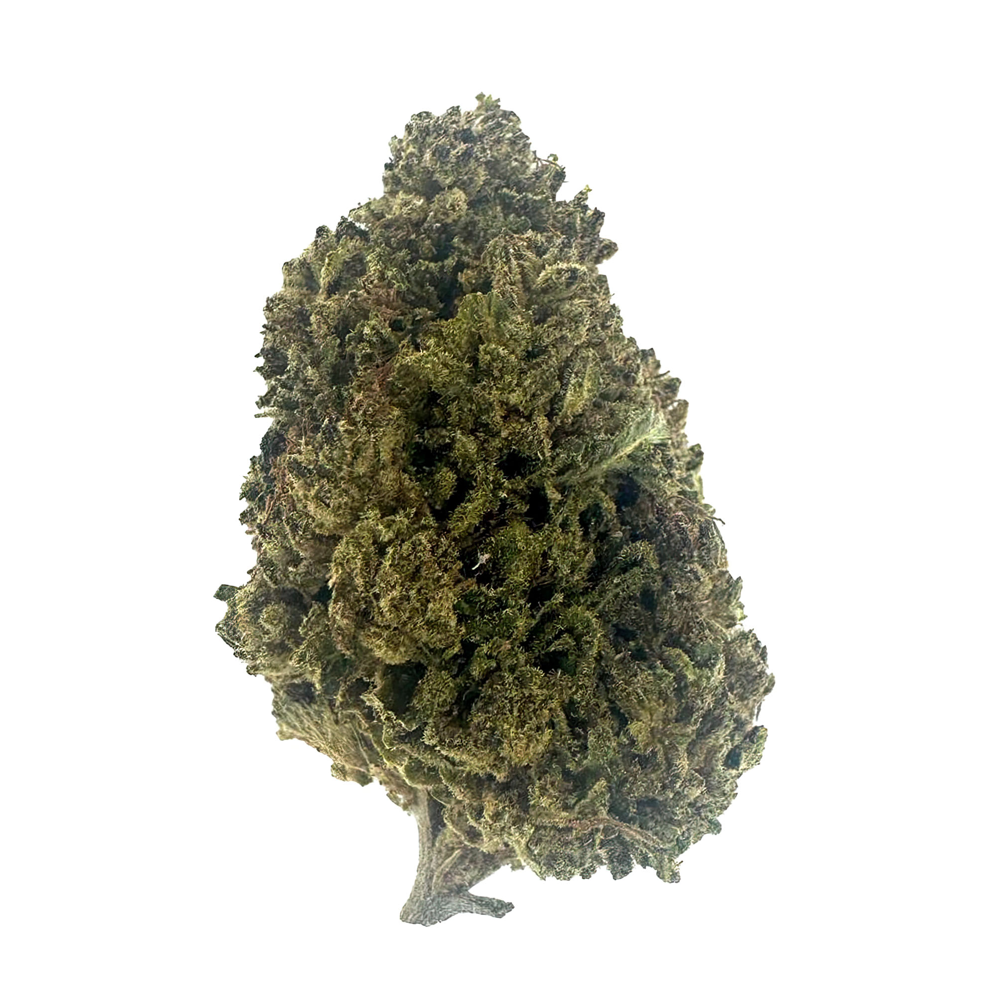Cotton Candy Flower – THCA – Hybrid