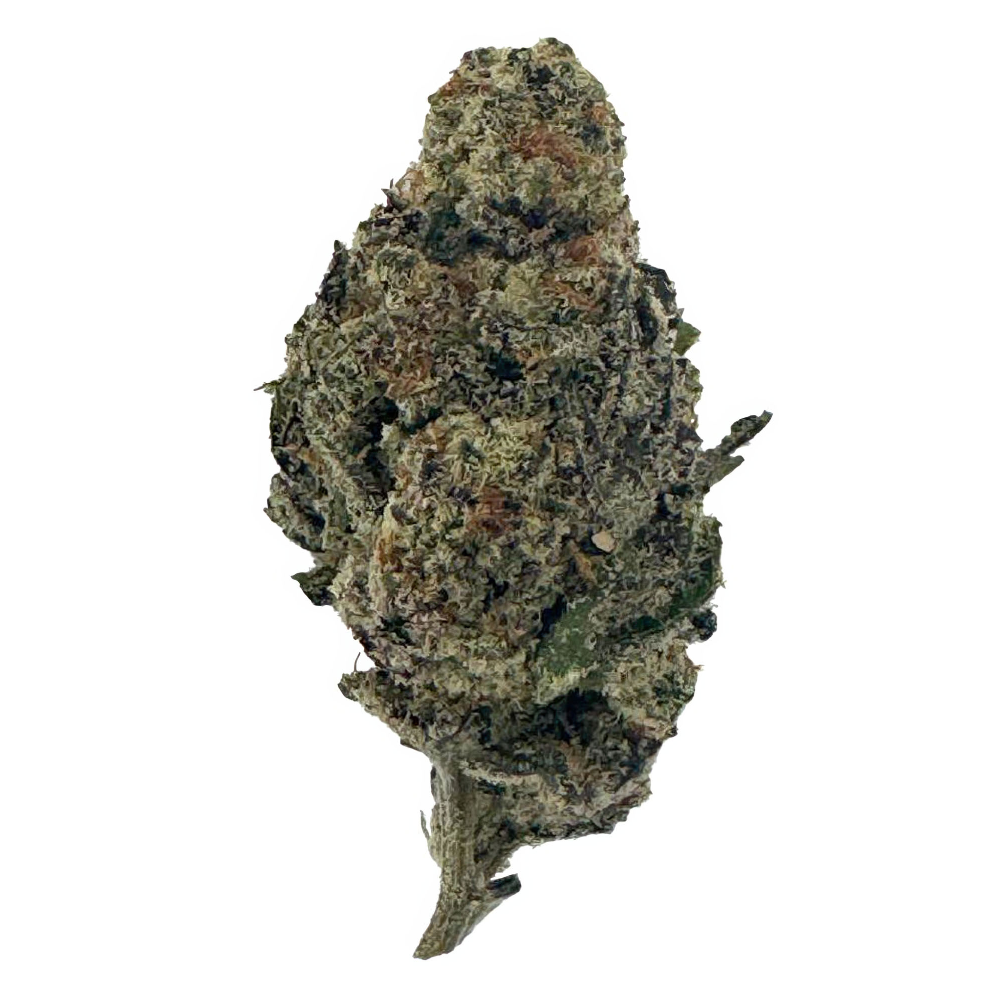 G Flower – THCA – Sativa