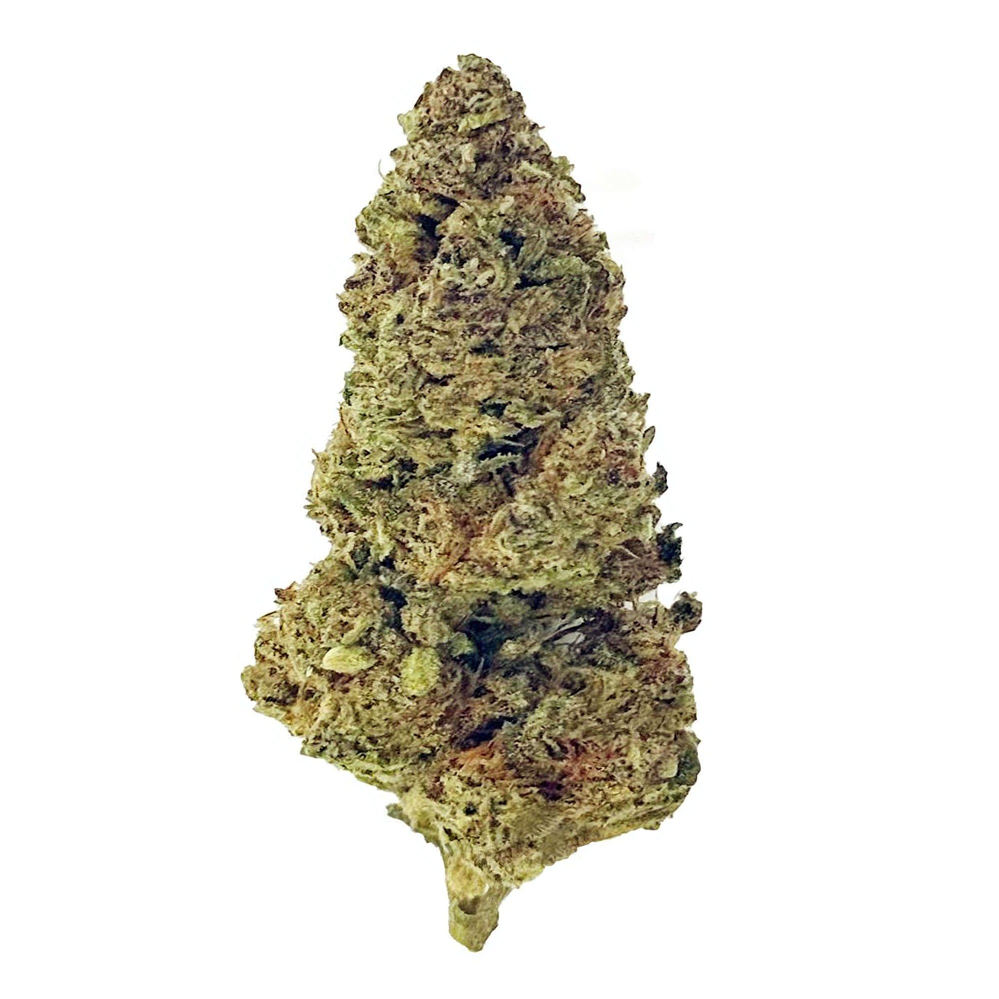 Glitter Bomb Flower – THCA – Indica