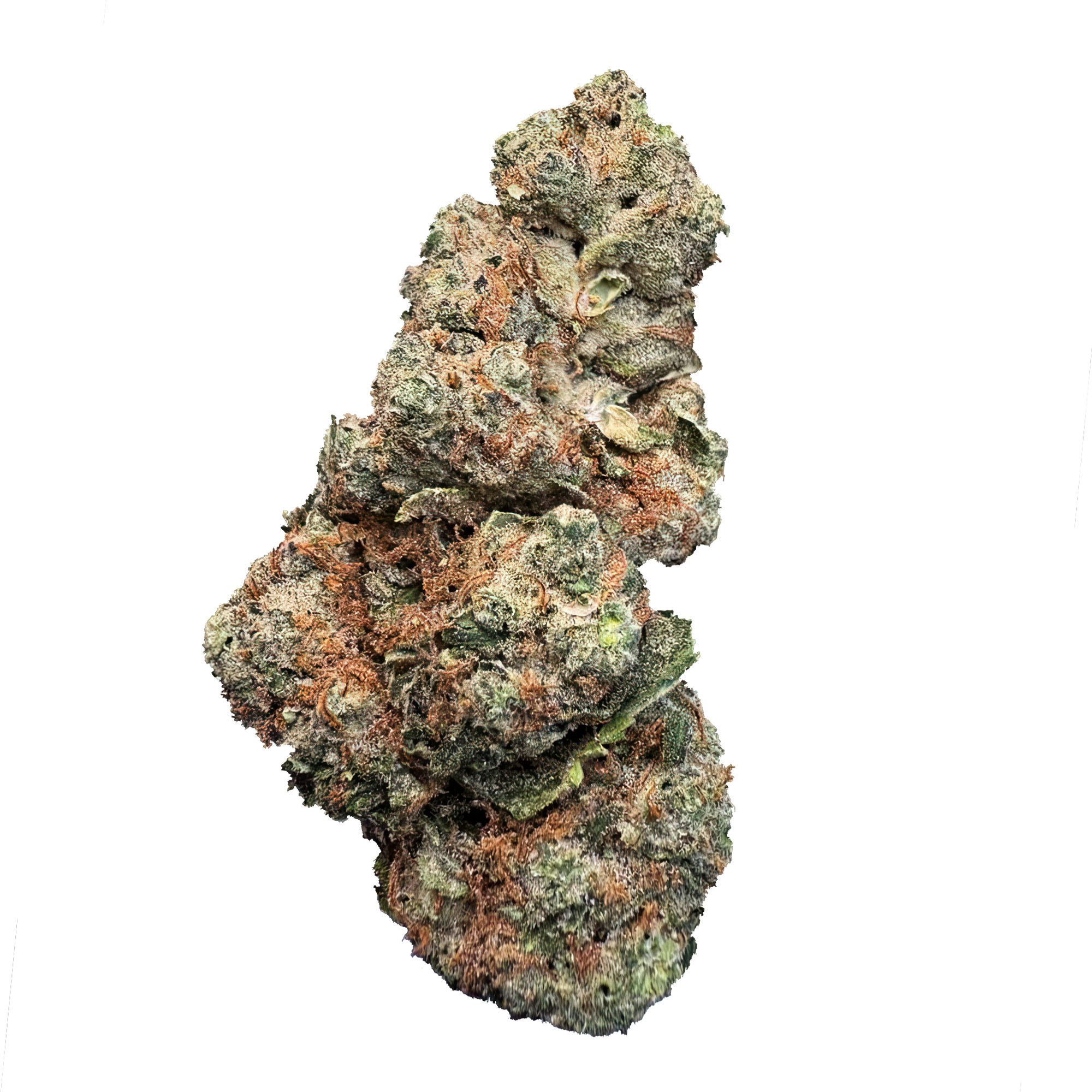 GMO Flower – Hybrid – THCA