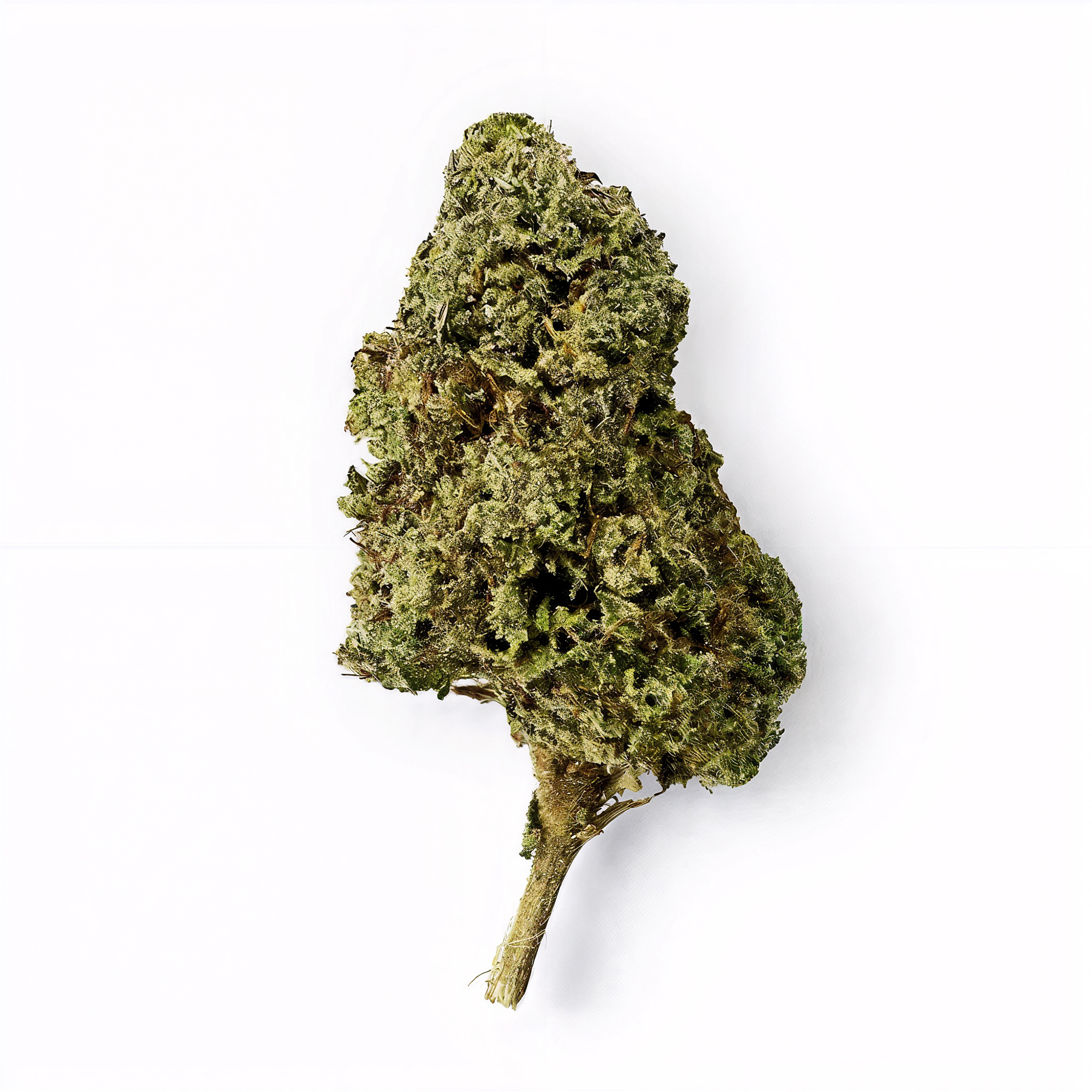 Godfather OG Flower – THCA – Hybrid