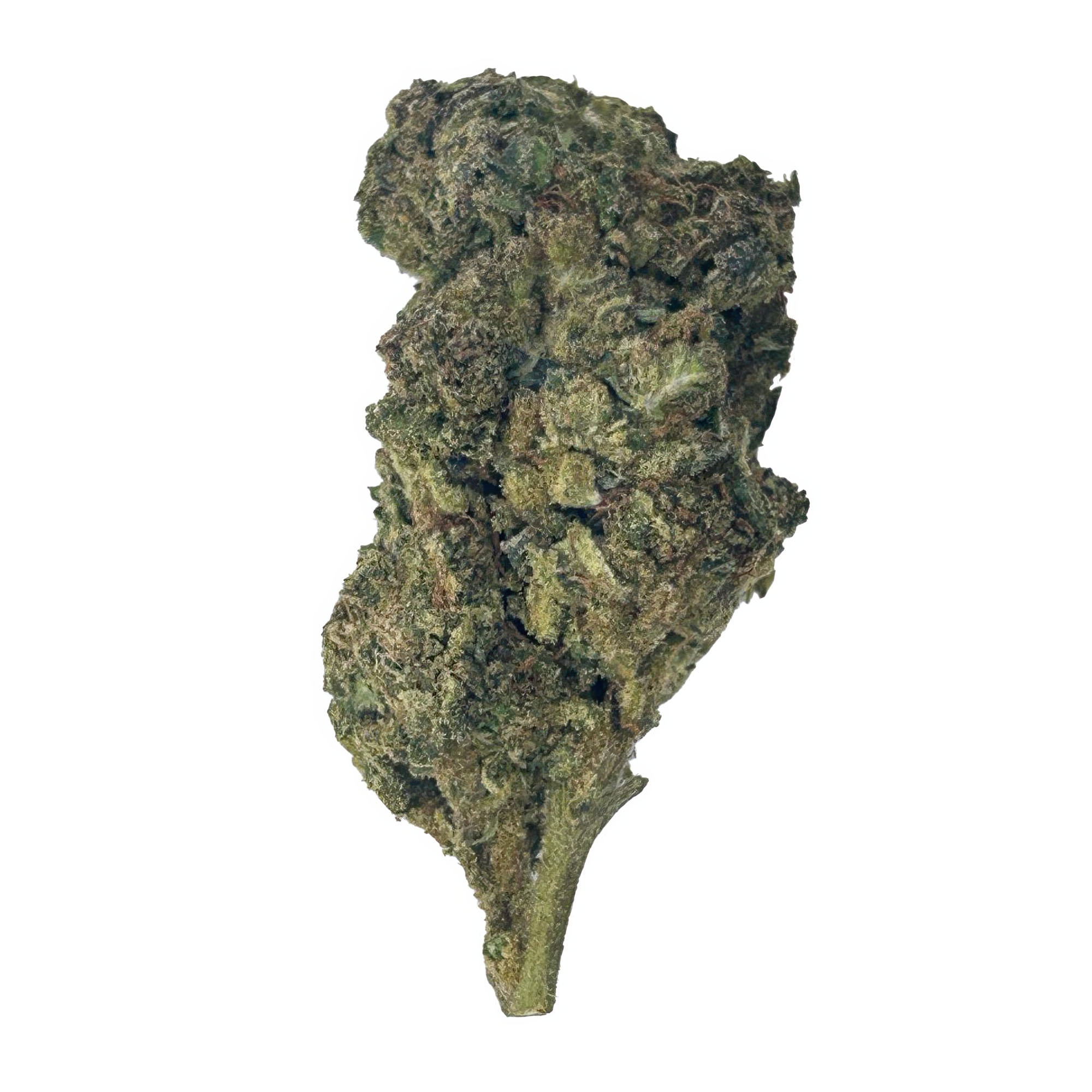 Gusher Cake Flower – THCA – Hybrid