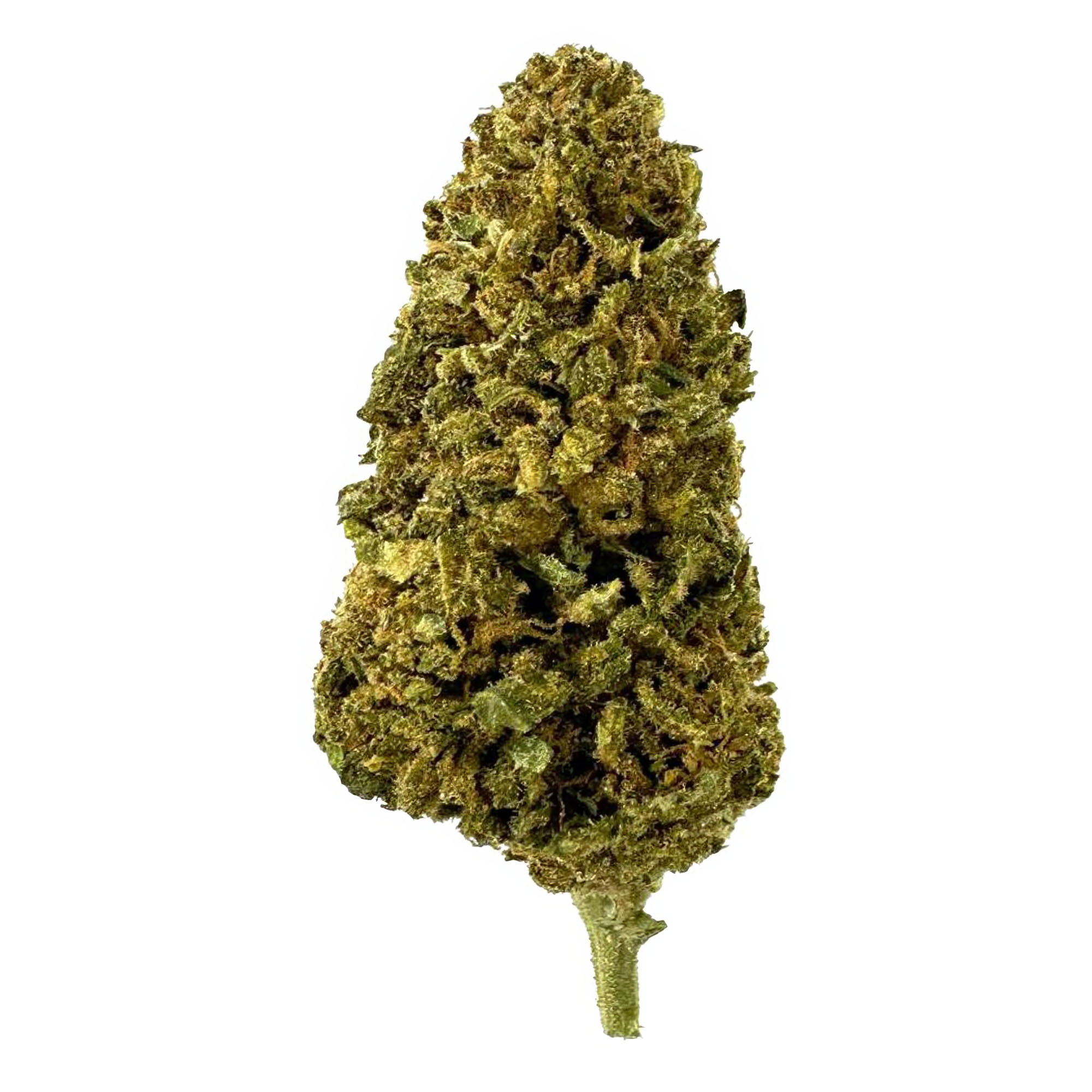 Illuminati Flower – THCA – Hybrid