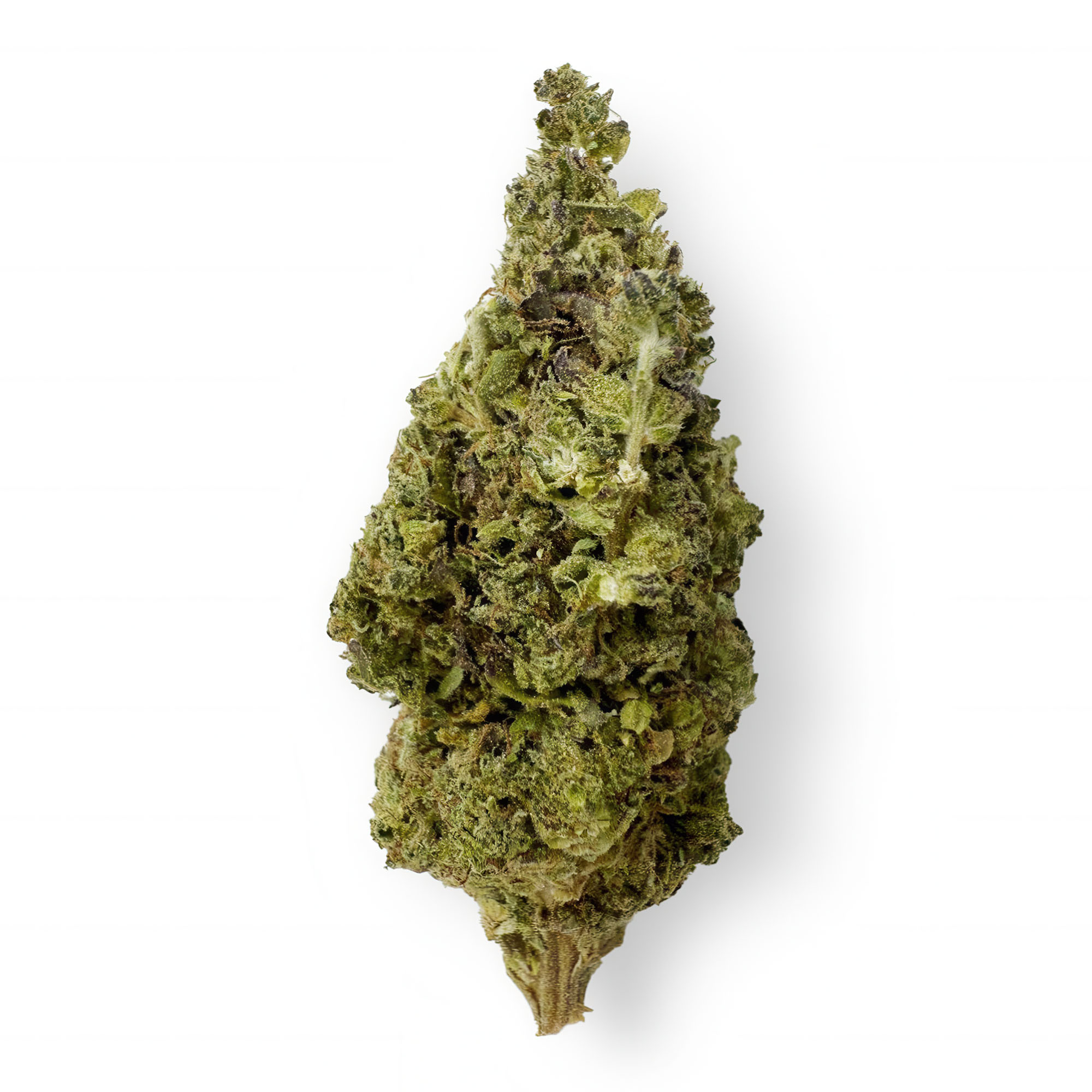 Lemon Bean Flower – THCA – Sativa