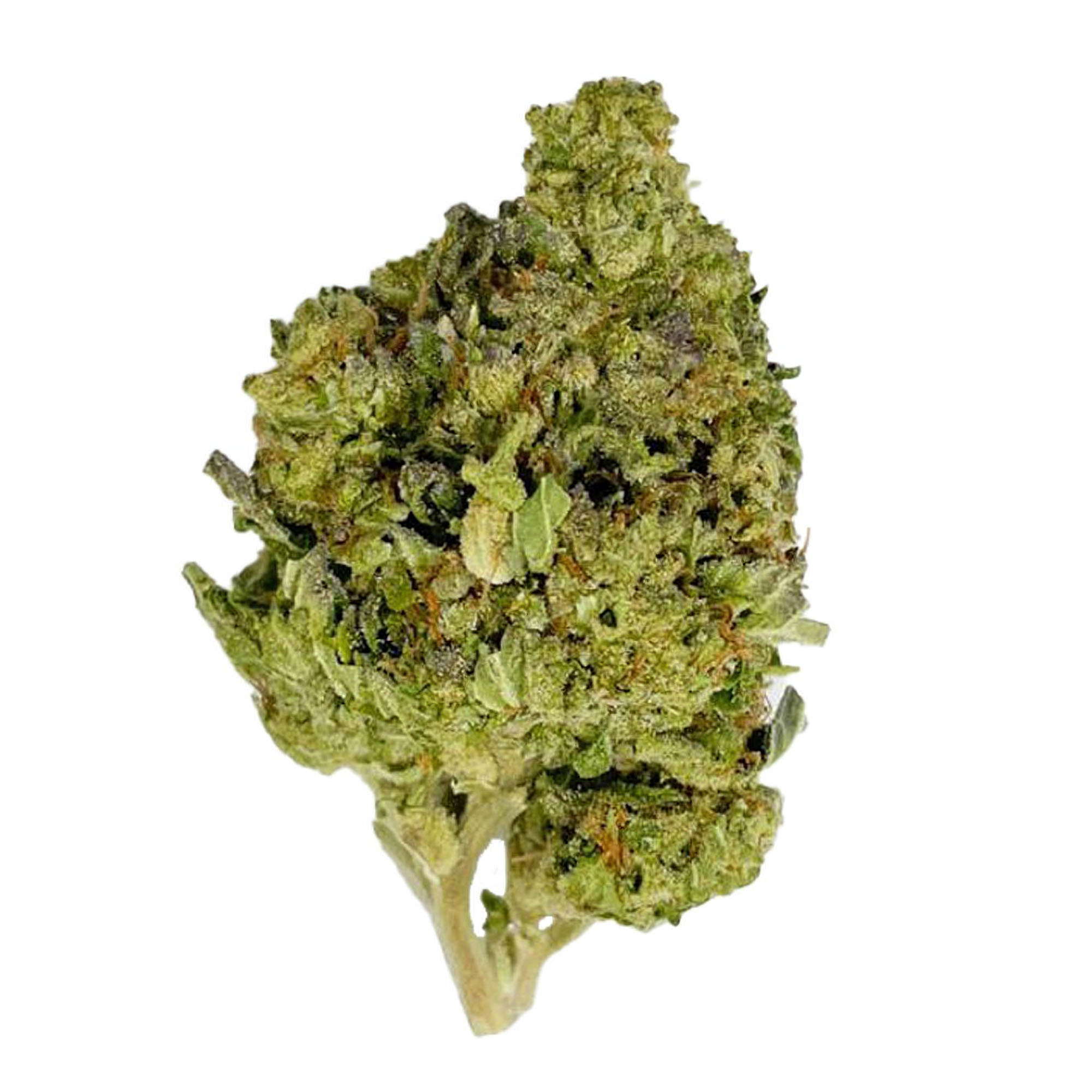 Limoncello Runtz Flower – Sativa – THCA