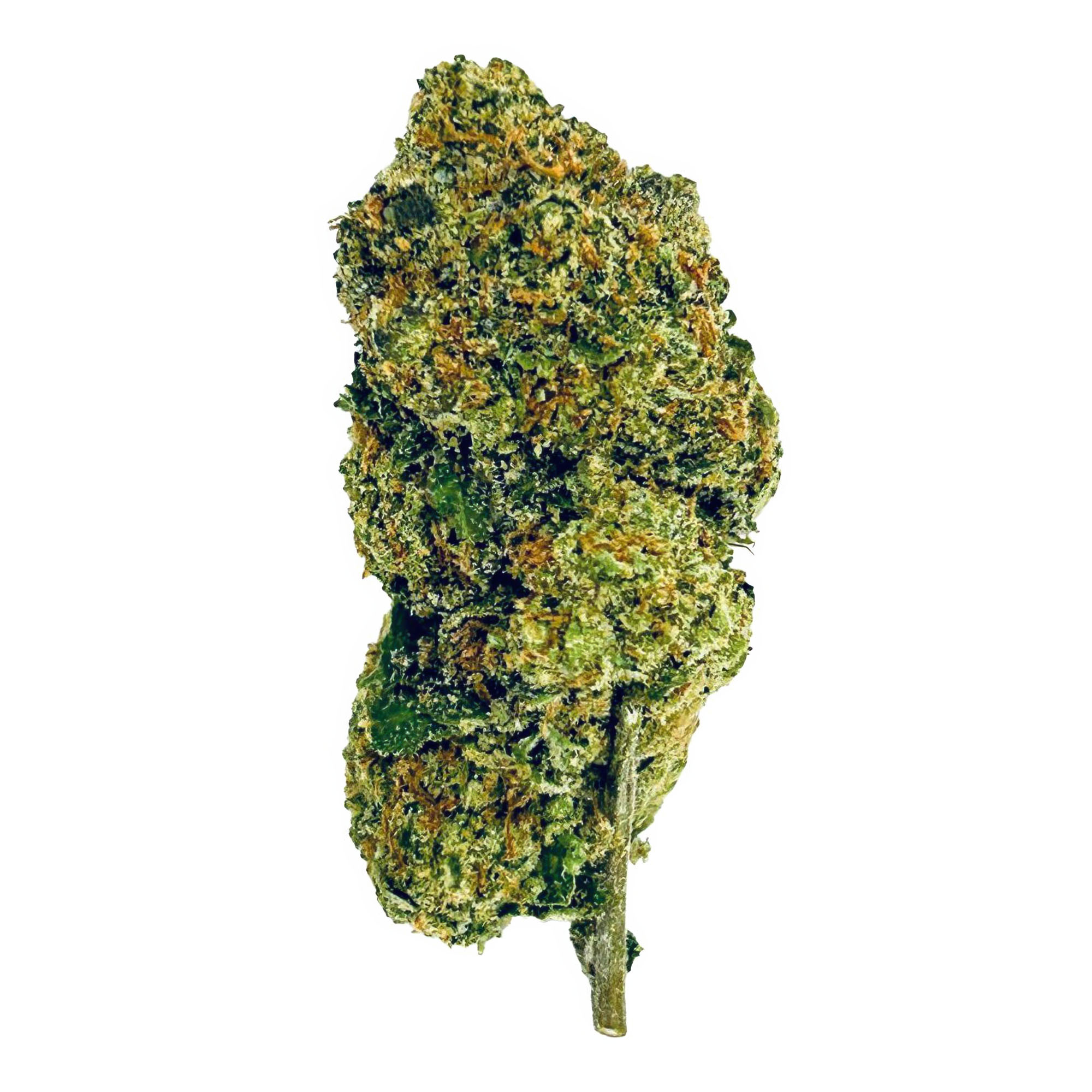 Melon Flower – Hybrid – THCA