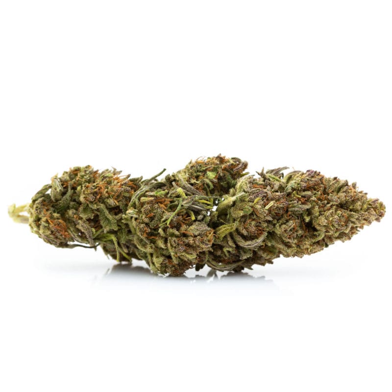 Mr. Hemp Flower Lifter Plus CBD FLower