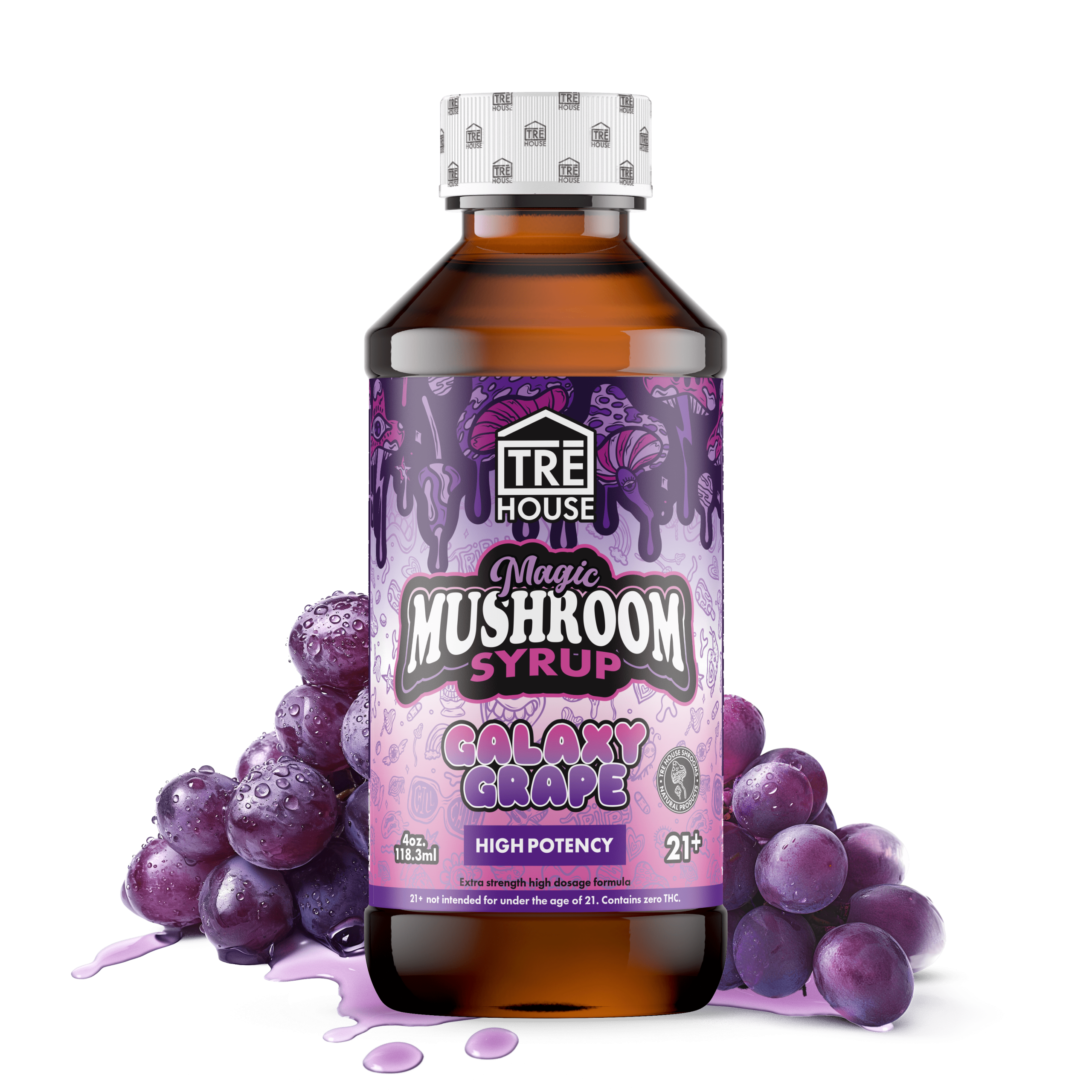 Mushroom Syrup – Trehouse