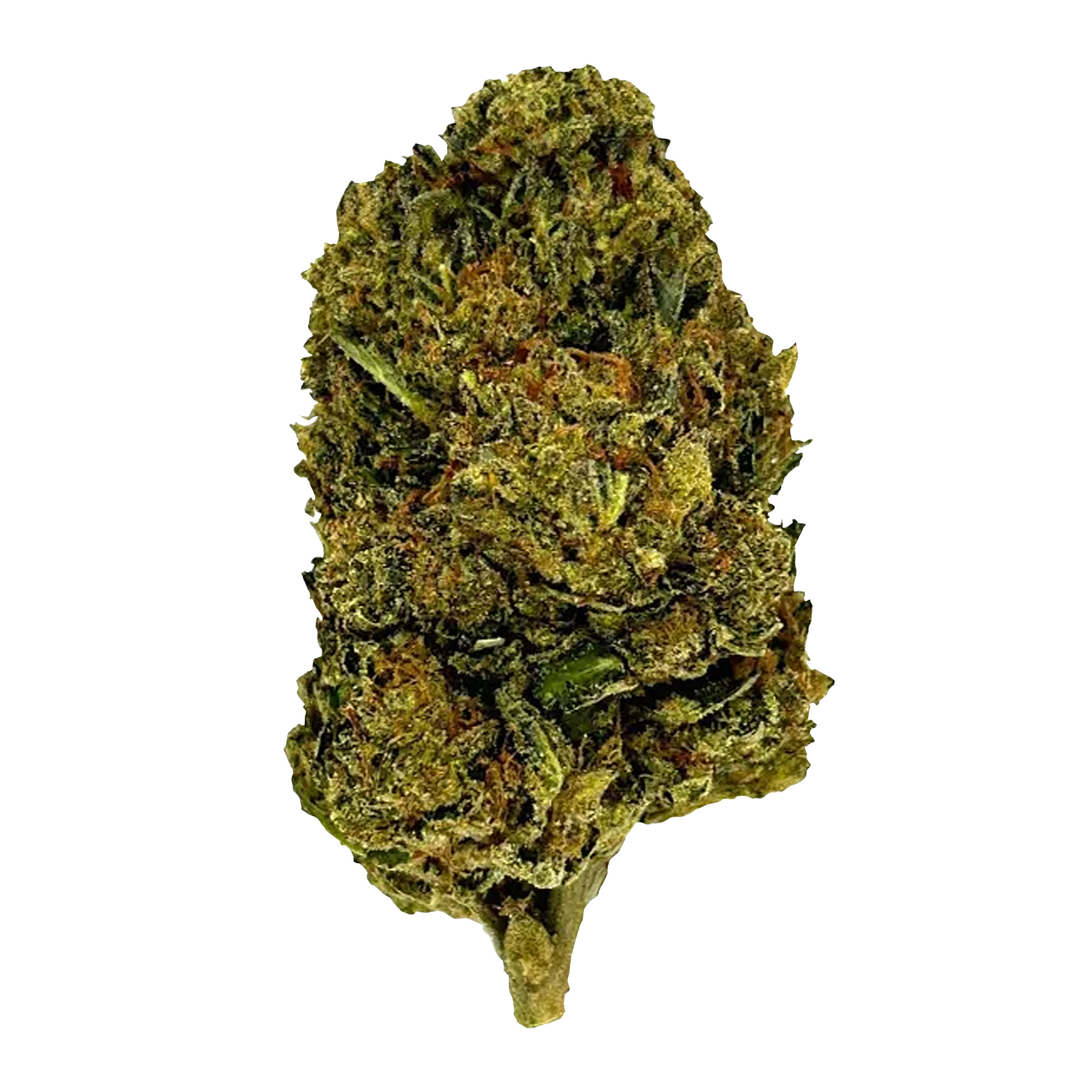 OG Plus (O+) Flower – THCA – Hybrid