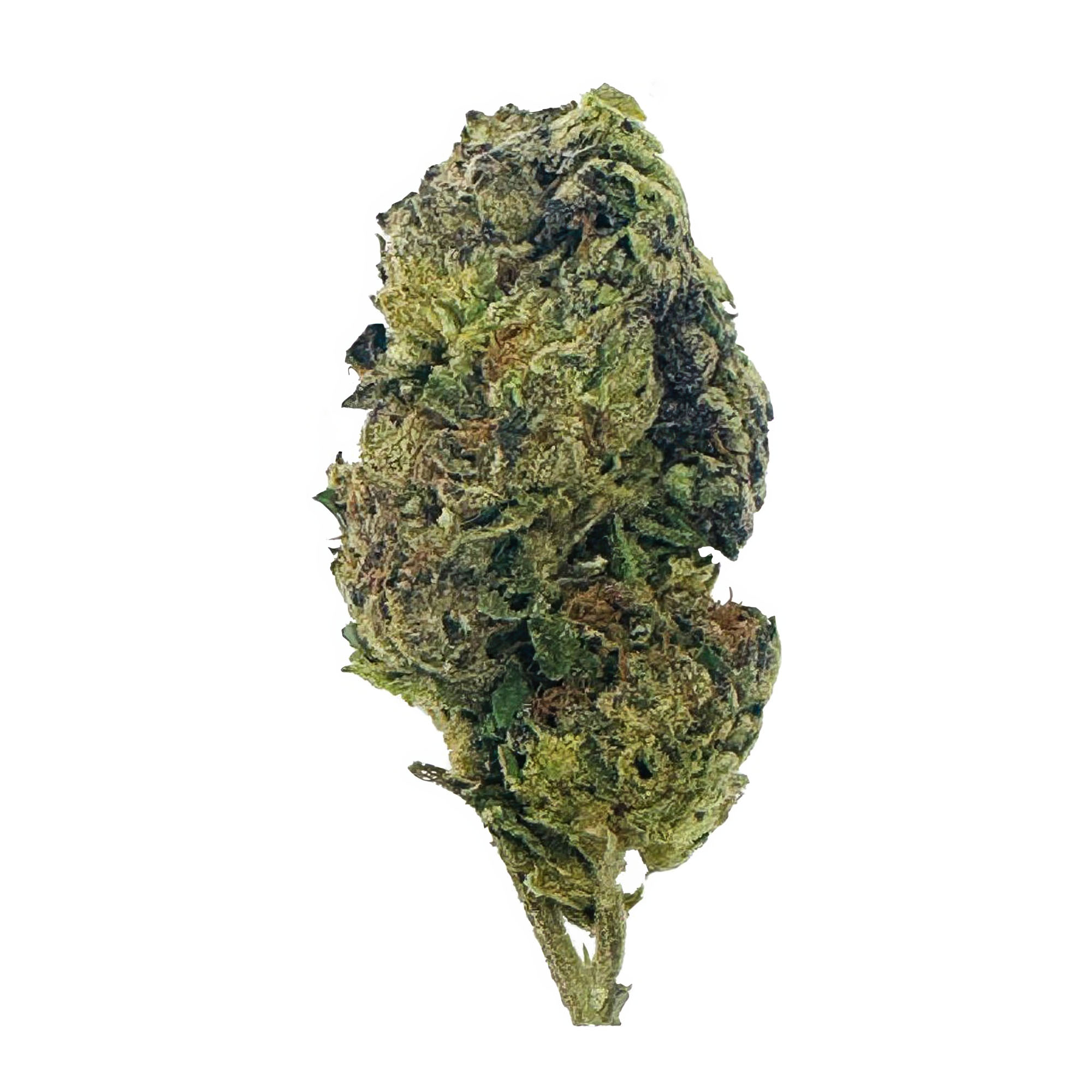 Silver Haze Flower – THCA – Sativa
