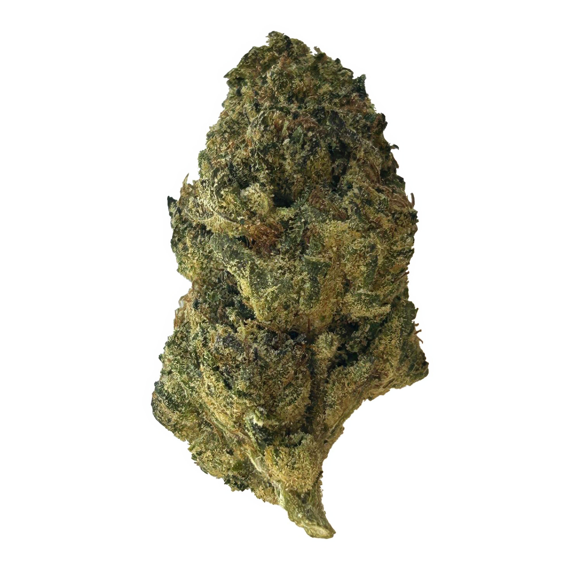 Sunset x Gushers Flower – THCA – Hybrid