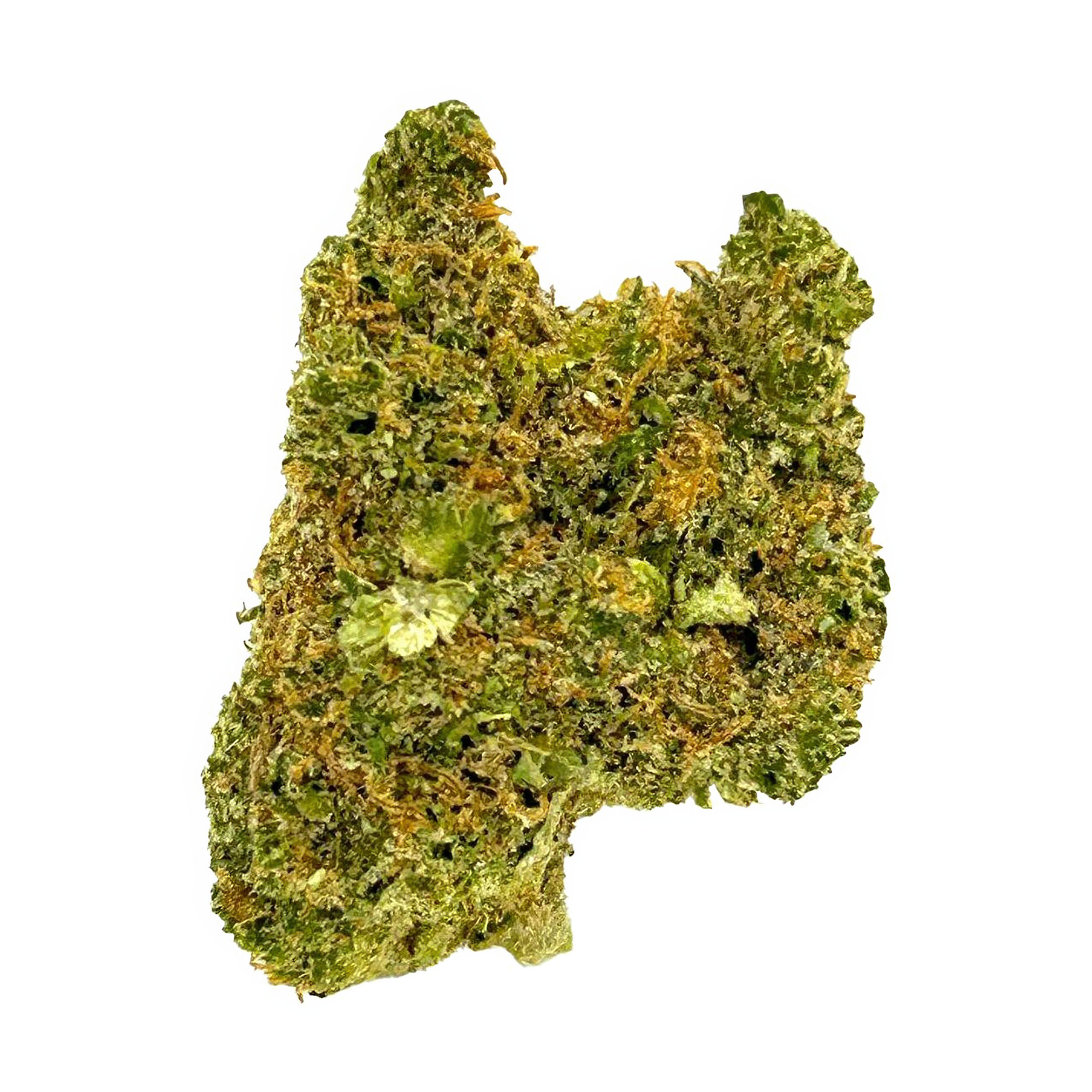 Tangelo Flower – Hybrid – THCA