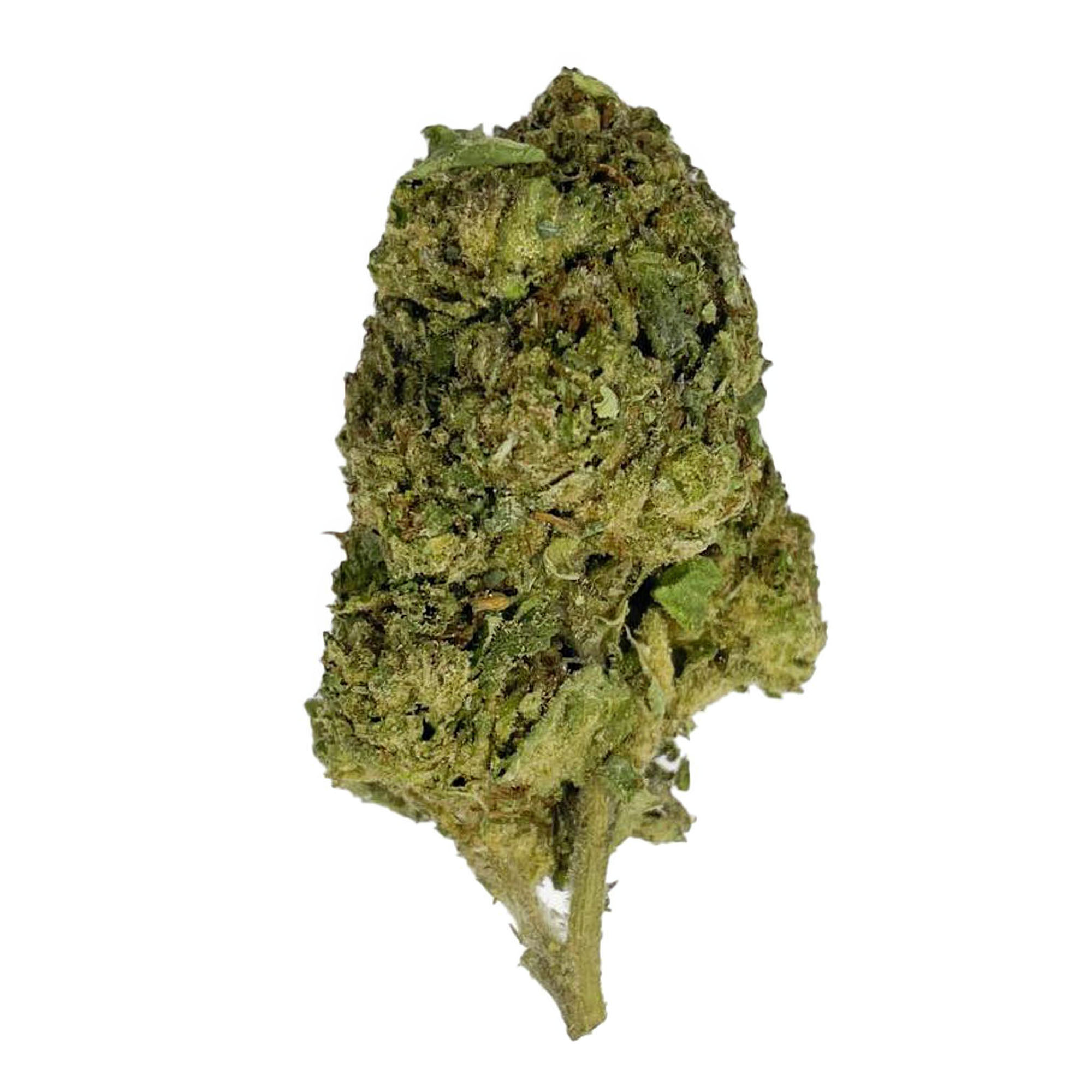 Tropicana Flower – THCA – Sativa