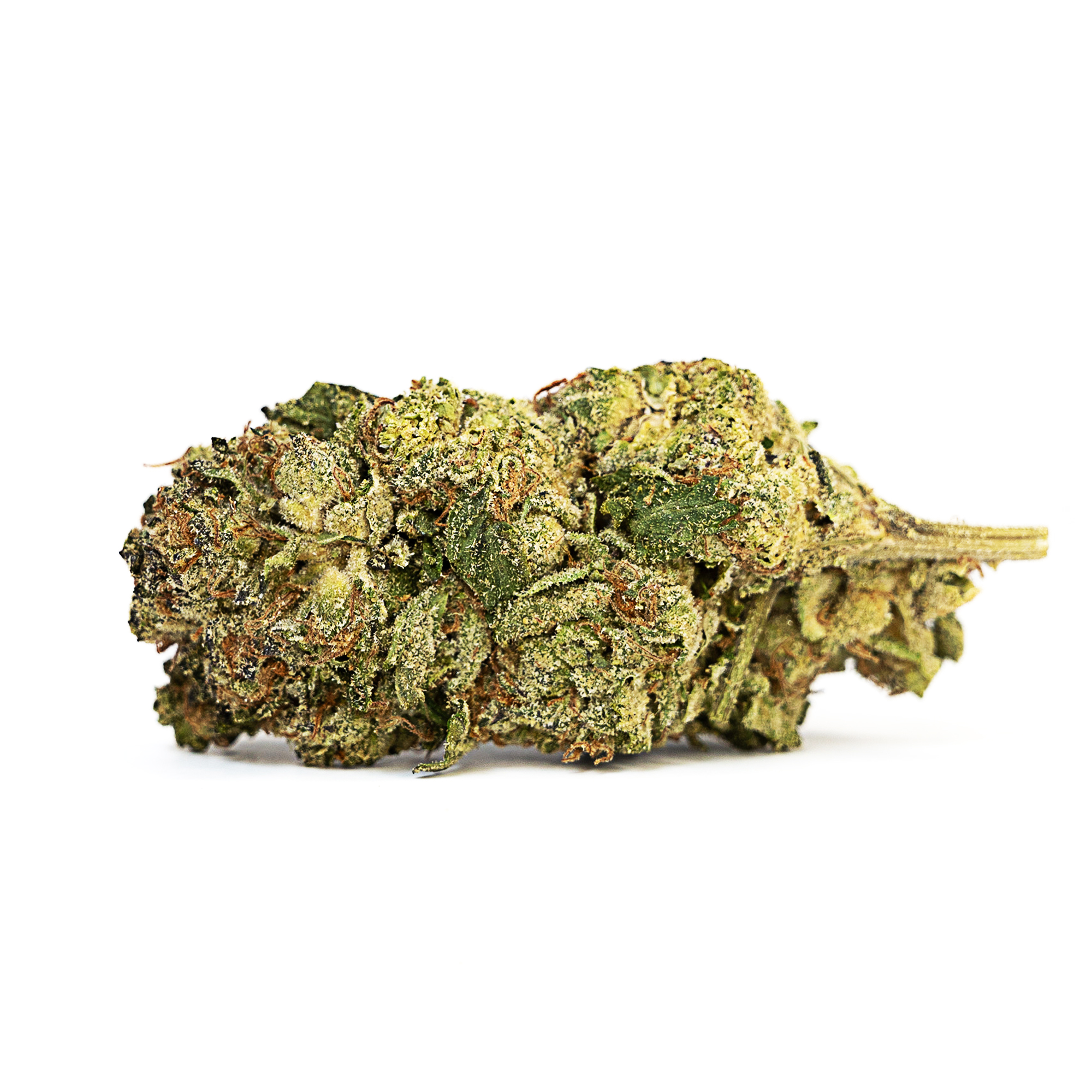 Walrus Kush Flower – THCA – Hybrid