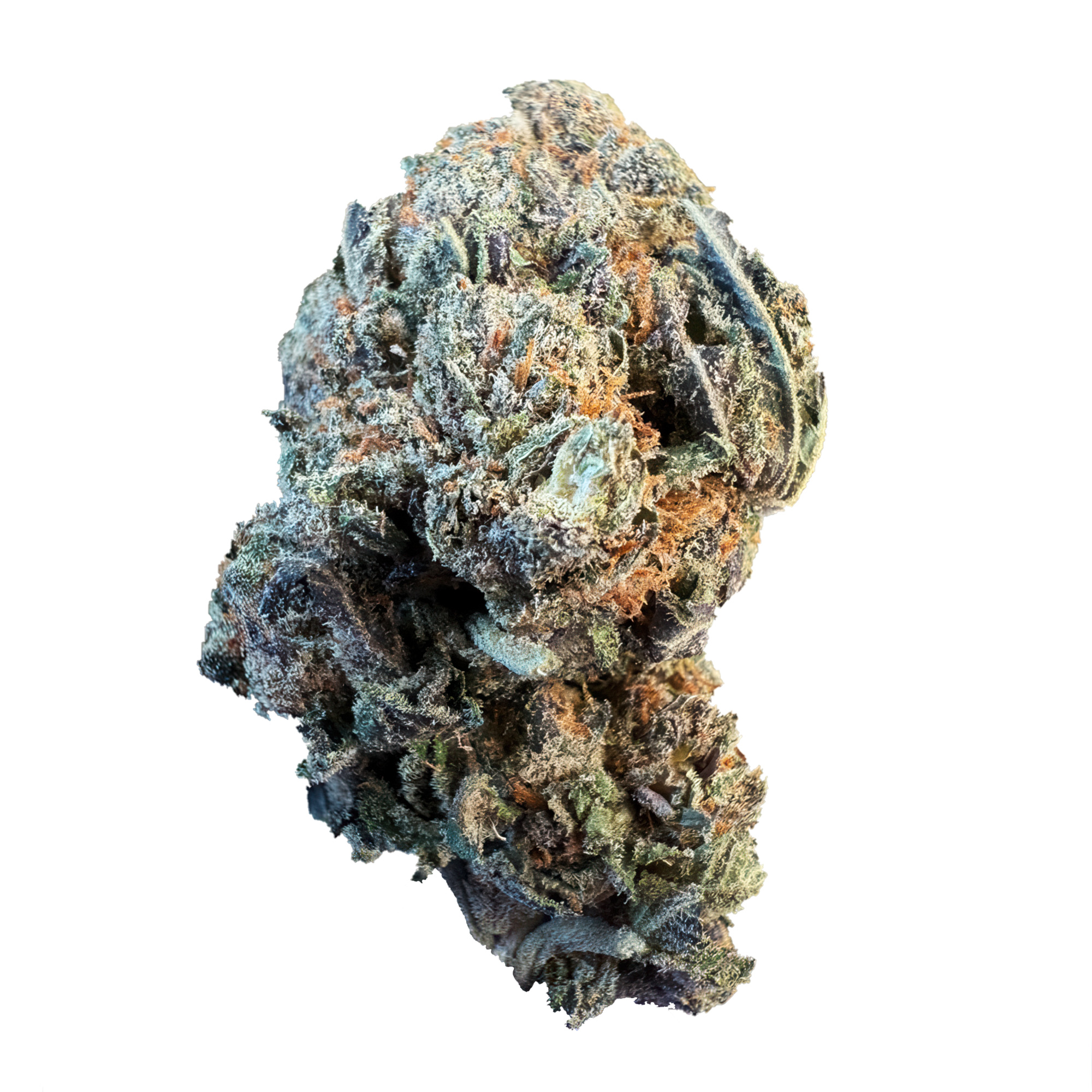 Wonder Bread Flower – Hybrid – THCA